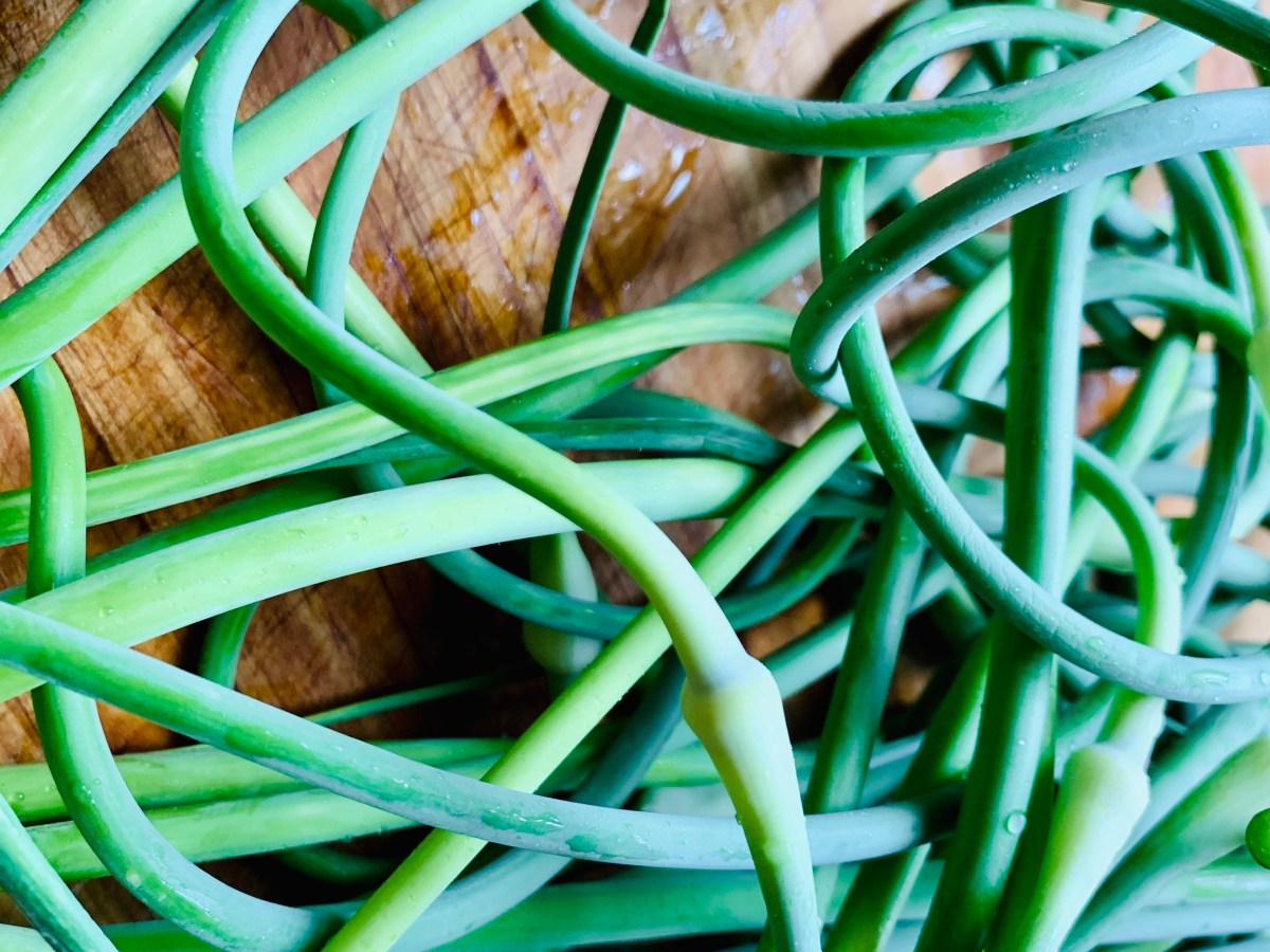 Simple Garlic Scape Pesto
