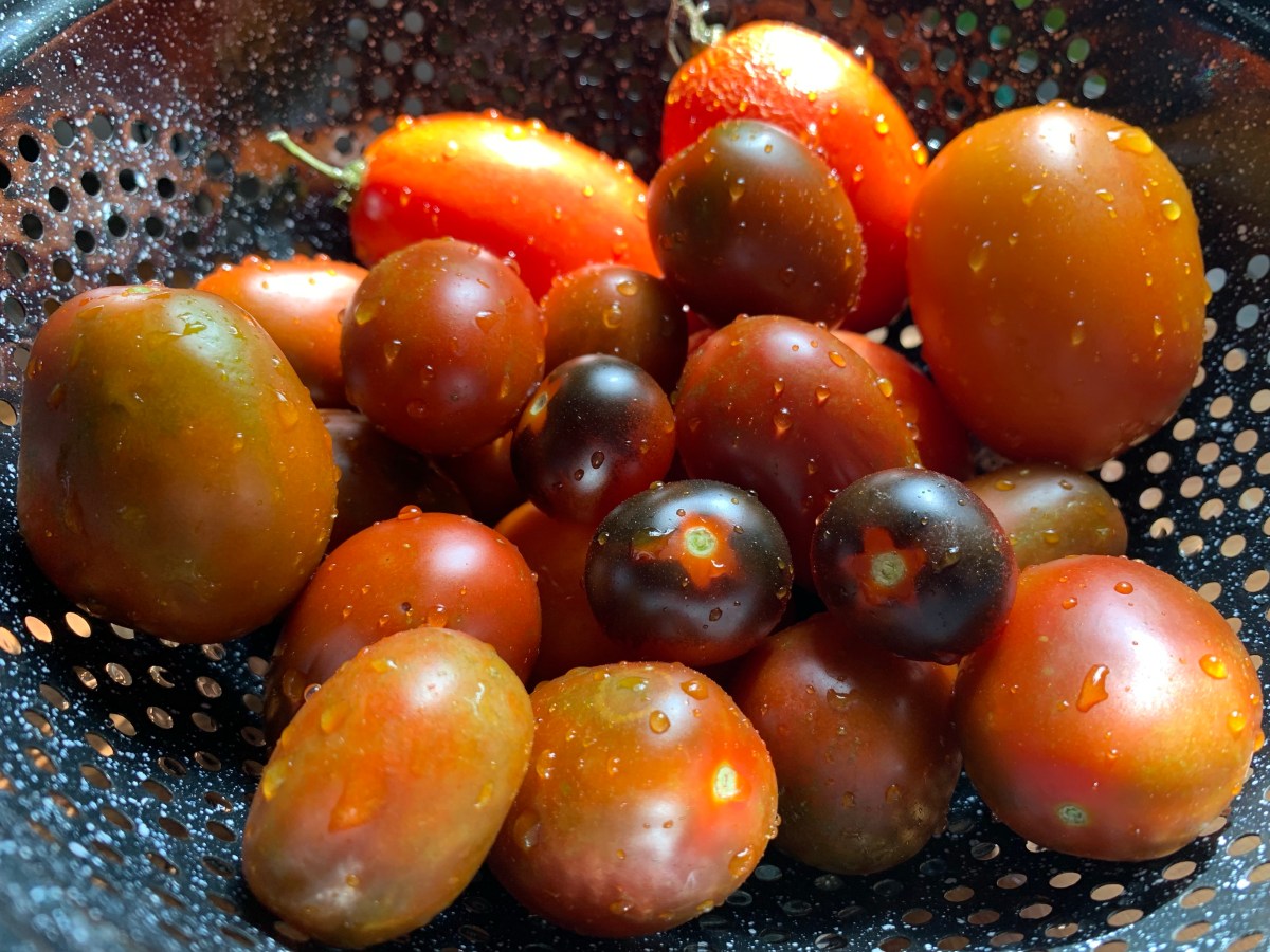 Quick & Easy Pizza Sauce