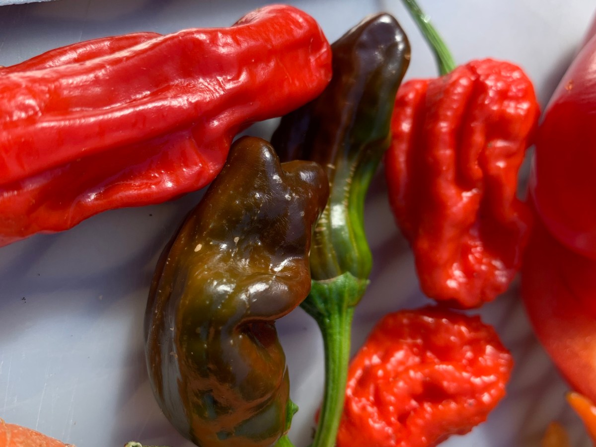 Strawberry Reaper Hot Sauce